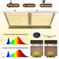 PNGCNG 4000W LED Grow Light Full Spectrum VEG & Bloom Dual Switch For