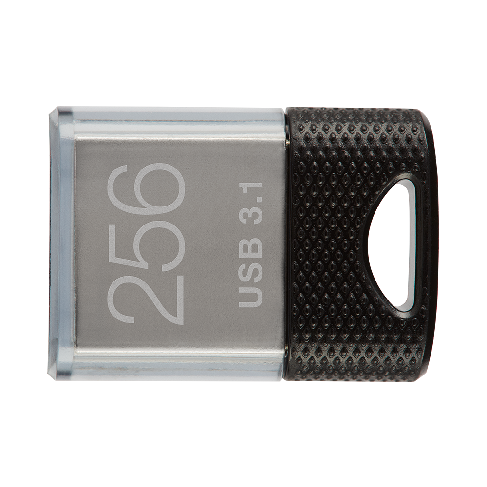 PNY 256GB Elite-X Fit USB 3.1 Flash Drive - 200MB/s - image 1 of 8