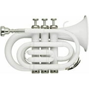 POCKET TRUMPET Bb PITCH WHITE.COLOR WITH CASE.& MOUTHPIECE, NICELY TUNED-78