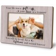 PODJEH-Cat Dog Memorial Picture Photo Frame 4x6, Pet Loss Sympathy ...