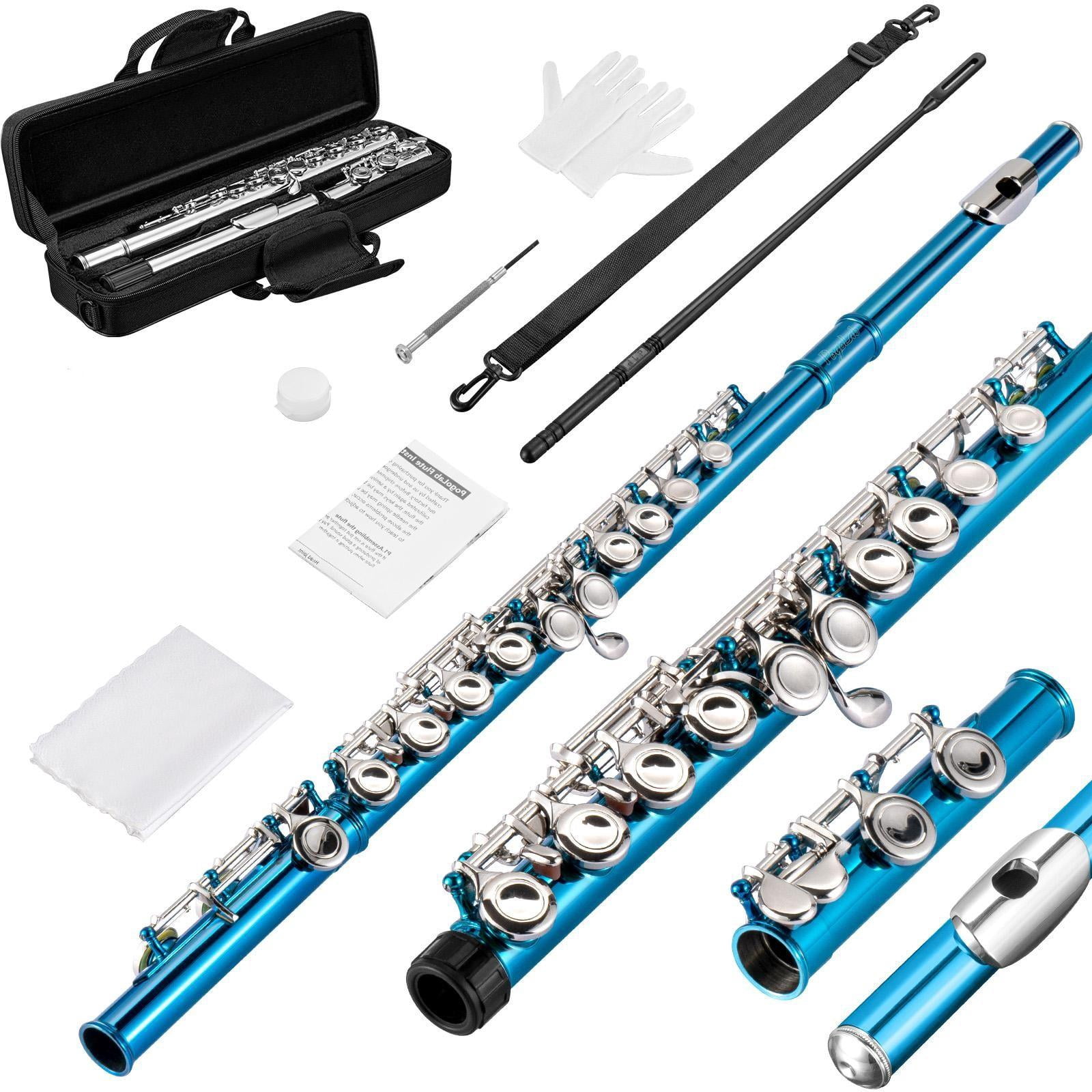 POGOLAB Blue Flutes, Closed Hole C 16 Keys Flute Instrument, Student Flute for Beginner Advanced Player with Flute Cleaning Kit, Carry Bag, Stand, Strap, Probe Rod, Gloves