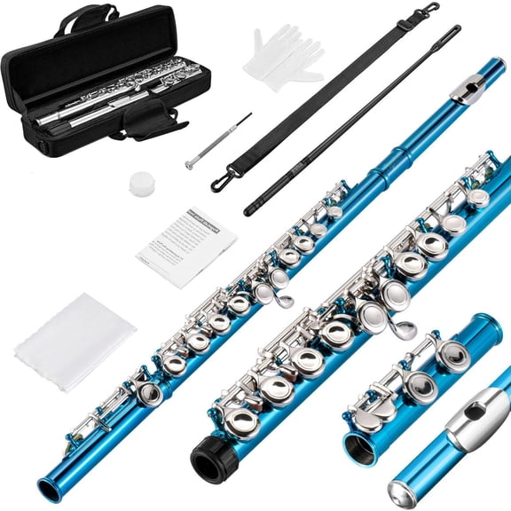 POGOLAB Blue Flutes, Closed Hole C 16 Keys Flute Instrument, Student Flute for Beginner Advanced Player with Flute Cleaning Kit, Carry Bag, Stand, Strap, Probe Rod, Gloves
