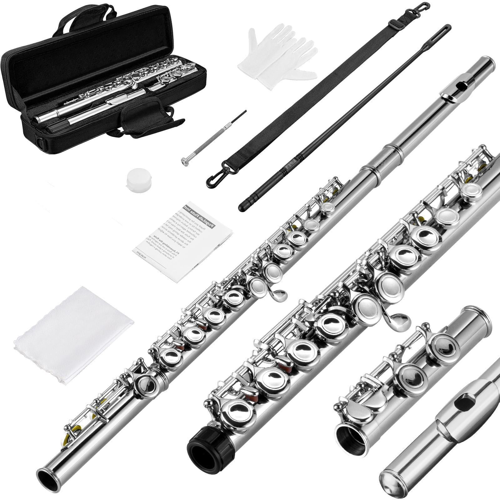 POGOLAB Flutes, Closed Hole C 16 Keys Flute Instrument, Student Flute for Beginner Advanced Player with Flute Cleaning Kit, Carry Bag, Stand, Strap, Probe Rod, Gloves