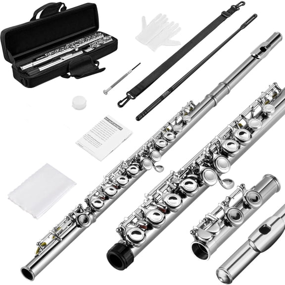 POGOLAB Flutes, Closed Hole C 16 Keys Flute Instrument, Student Flute for Beginner Advanced Player with Flute Cleaning Kit, Carry Bag, Stand, Strap, Probe Rod, Gloves