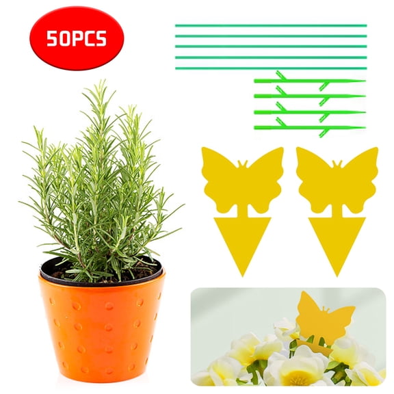 POINTERTECK 50 Packs of Sticky Fly Traps Both Face Turkish Grand National Council Trap Flower Rectangular Glue Trapper Yellow