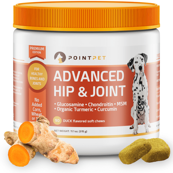 Image showcasing Dog Pain Relievers