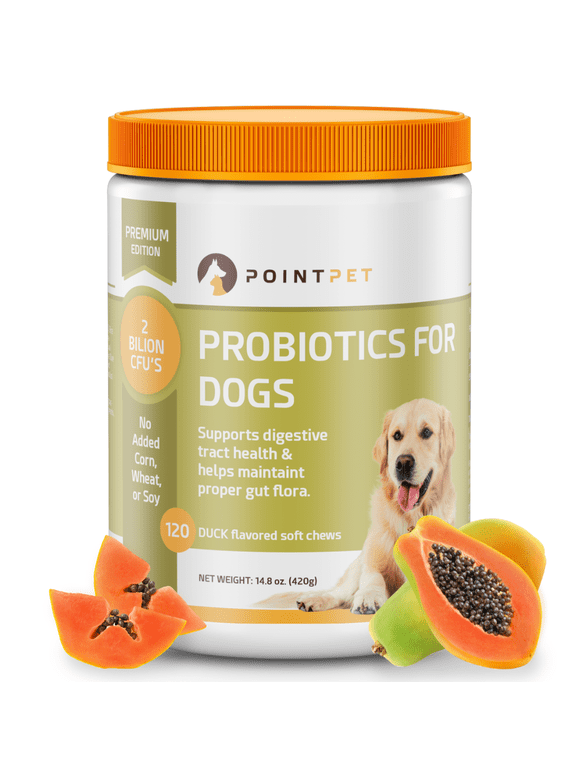 Stunning Natural Digestive Supports For Dog Diarrhea image