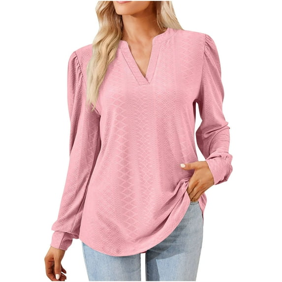 POIUYTR Long Sleeve Shirt for Women Casual V-Neck Loose Fit Tunic Blouse Fashion Solid Color Dressy Pullover Tops 2024 Fall Outfits