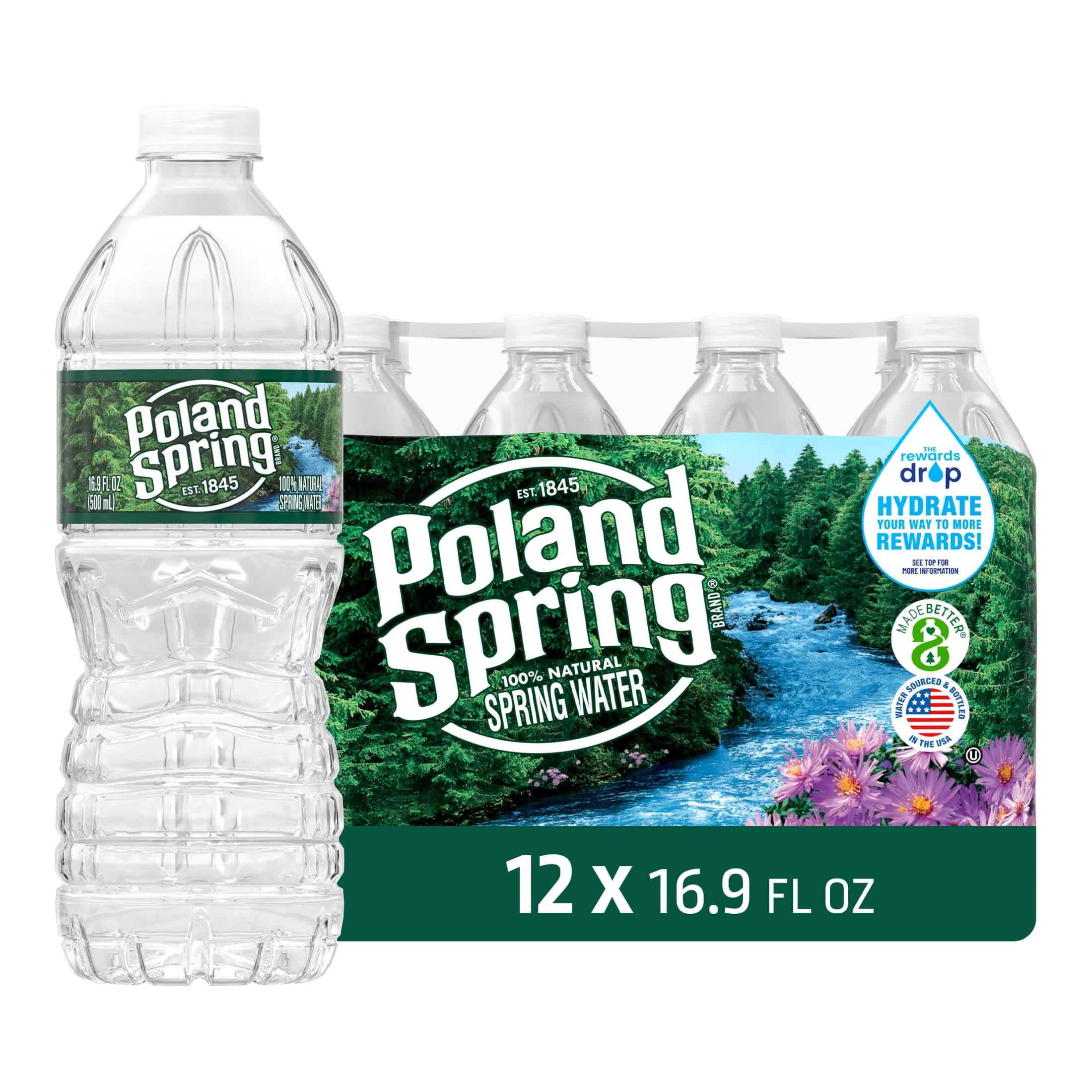 Poland Spring Maine Spring Water, 16.9 Fl Oz, 12-Pack Plastic Bottles