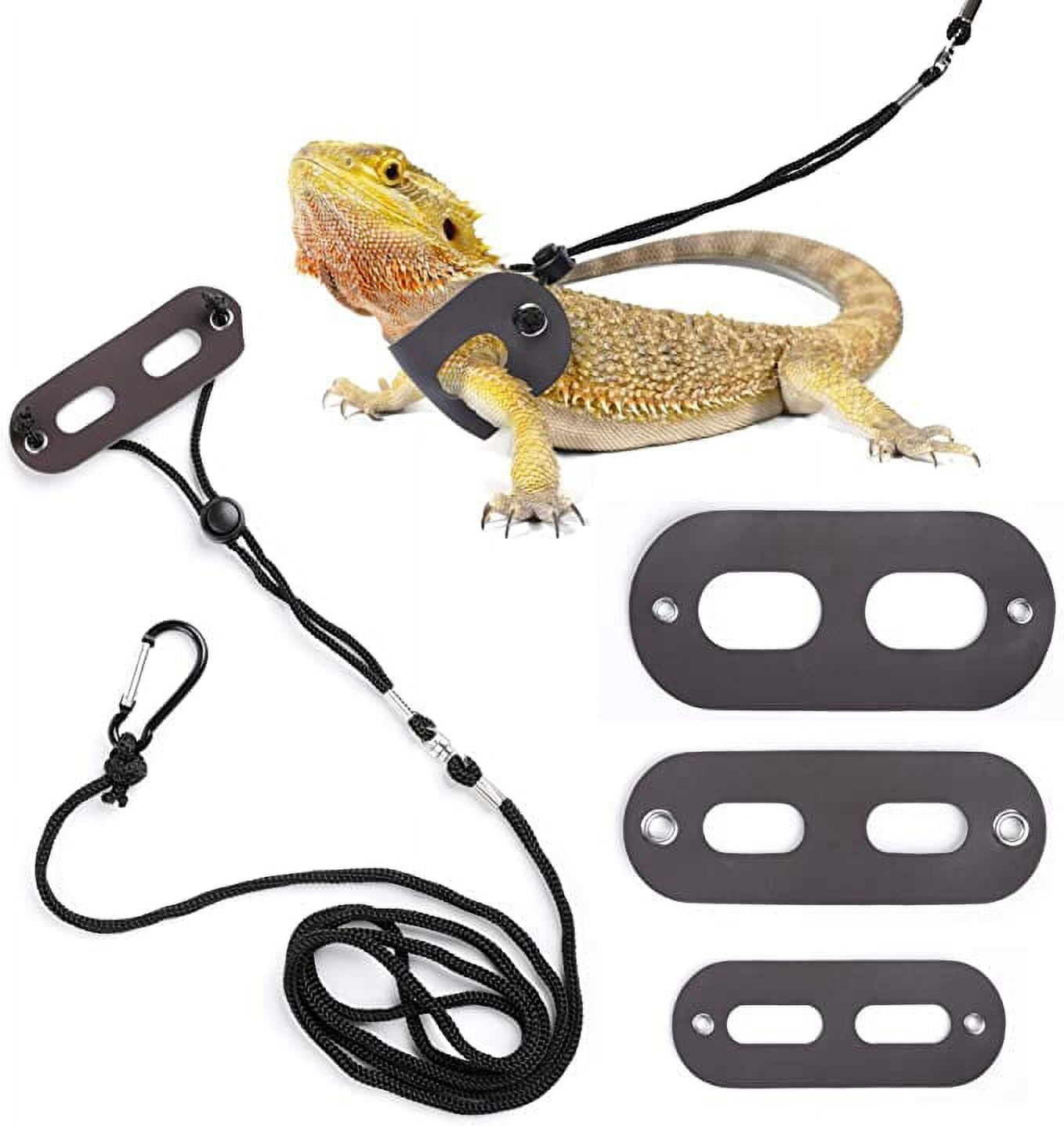Bearded dragon harness and cheap leash