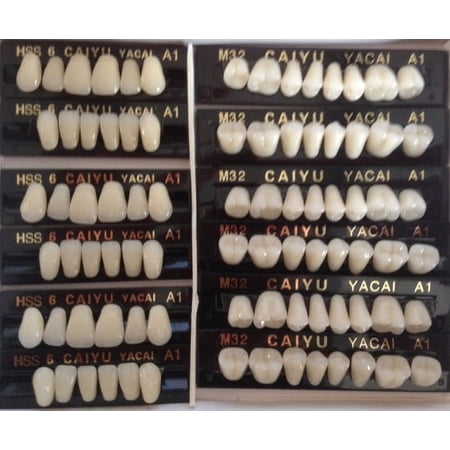 POLYMER RESIN DENTURE TEETH 2 layers 12 cards 3 Sets 84 teeth size 4 color a3.5