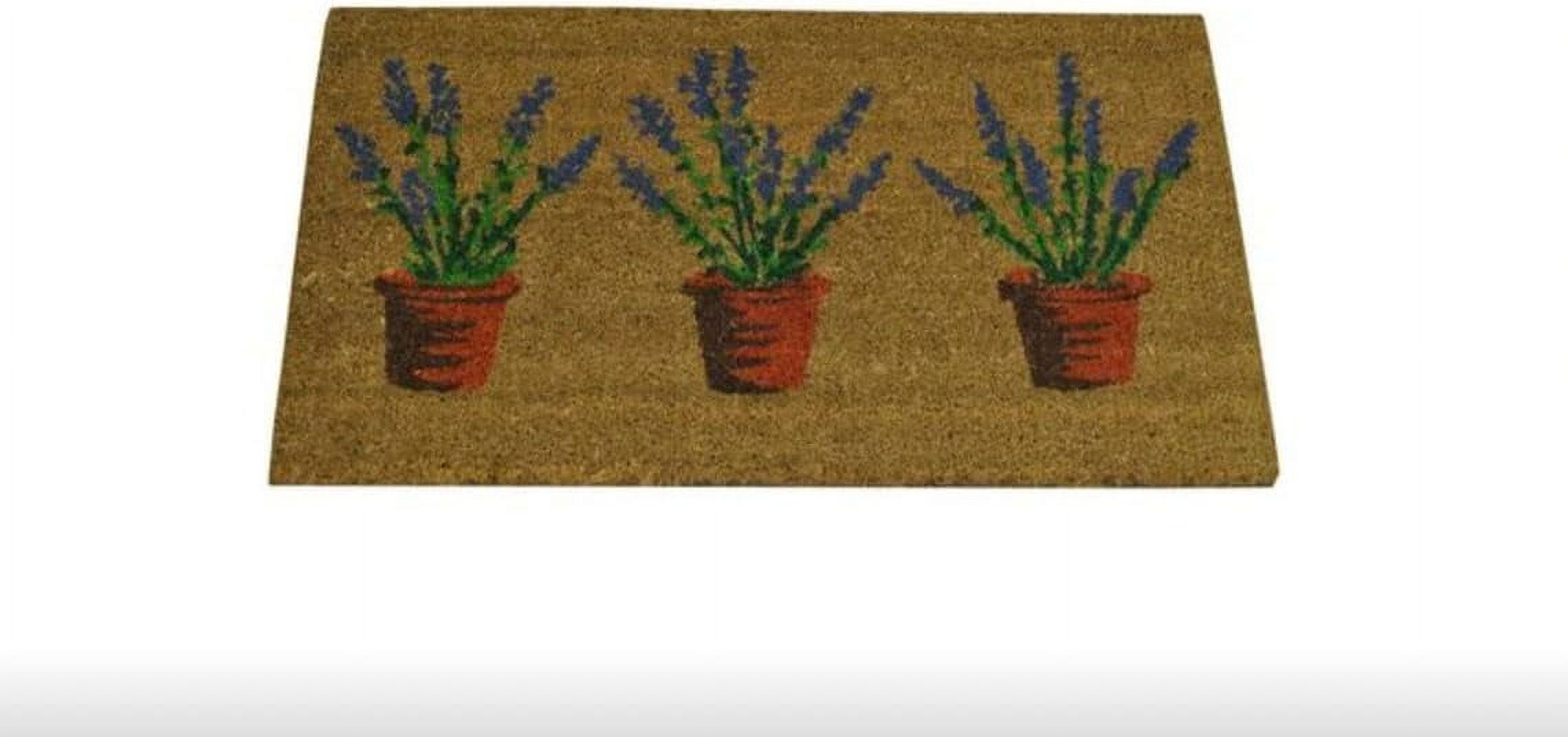 POMOTER 36X24 In Doormat Entrance Doormat Funky Cute Outdoor doormats