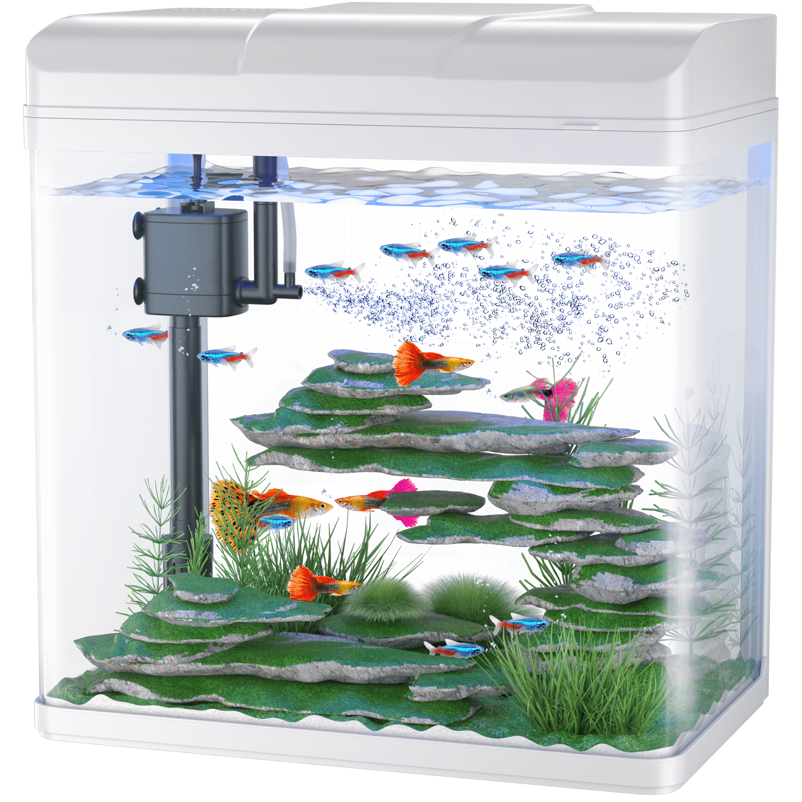 Aquarium kit 5 Gallon Betta Fish Tank self Cleaning, Smart