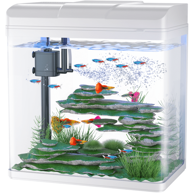 Free Shipping! PONDON 5 Gallon Fish Tank, Glass Aquarium with Air Pump, LED Cool Lights and