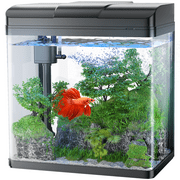 PONDON Fish Tank, 1.7 Gallon Glass Aquarium with Air Pump & LED Light & Filter, Small Fish Tank for Betta Fish Starter Kit (Black)
