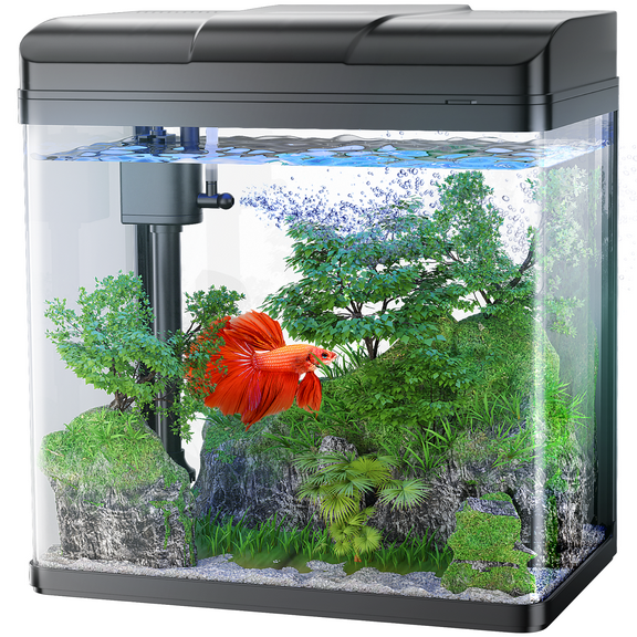 PONDON Fish Tank, 1.7 Gallon Glass Aquarium with Air Pump & LED Light & Filter, Small Fish Tank for Betta Fish Starter Kit (Black)