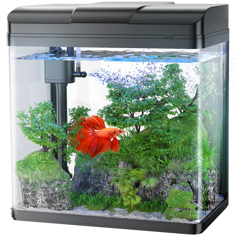 PONDON Fish Tank, 1.7 Gallon Glass Aquarium with Air Pump & LED Light &  Filter, Small Fish Tank for Betta Fish Starter Kit (Black) 