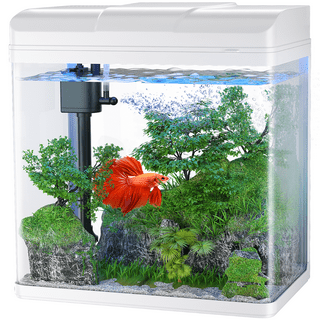  PONDON Betta Fish Tank, 2 Gallon Glass Aquarium, 3 in 1 Fish  Tank with Filter and Light, Desktop Small Fish Tank for Betta Fish, Shrimp,  Goldfish (Black) : Pet Supplies