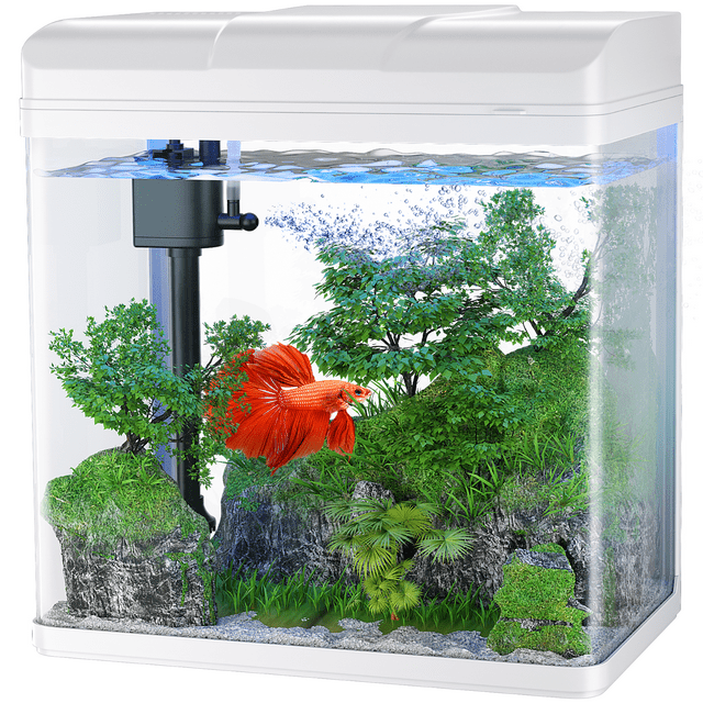 PONDON Fish Tank, 1.7 Gallon Glass Aquarium with Air Pump & LED Light