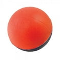 thumbnail image 1 of POOF 4 Inch Pro Mini Basketball Assortment, 1 of 4
