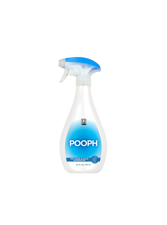 Dog Potty Training in Dogs