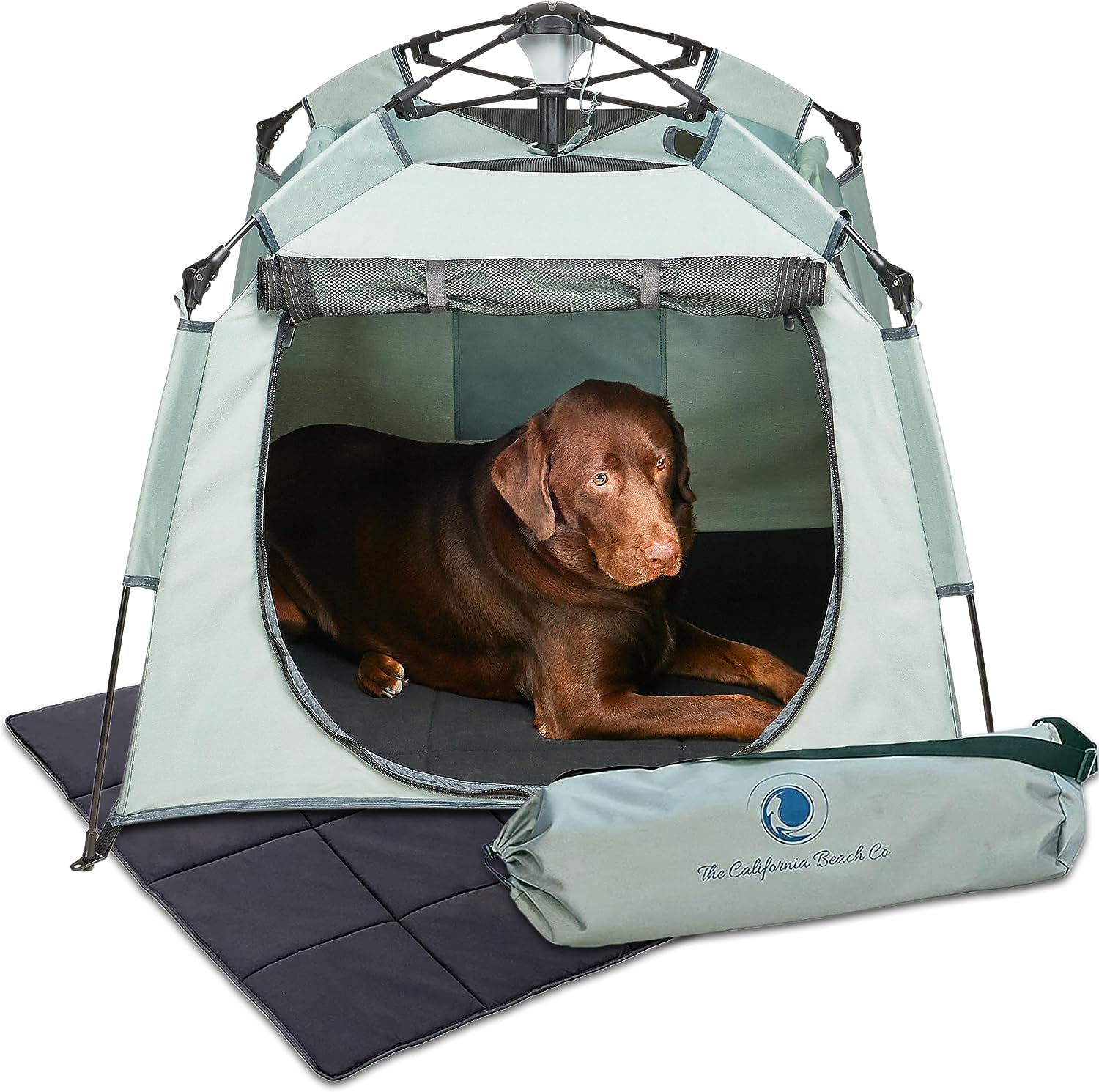 POP 'N GO Pet Playpen for Dogs and Cats 39 x 33 Inch Dog Tent w/Carrying Bag Outdoor Cat