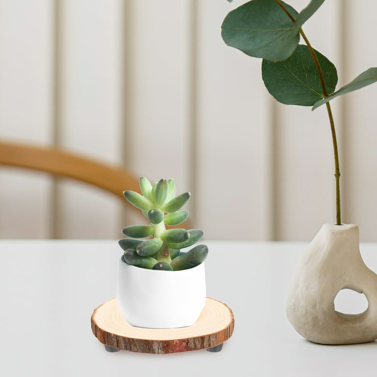 smart pot planter AI Smart Plant Pot Self-Watering Planter