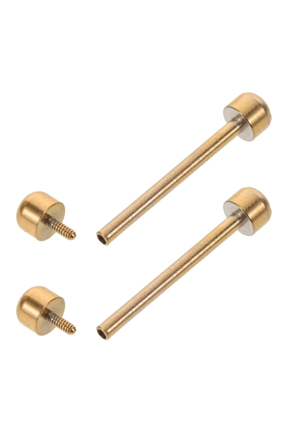 2Pcs Golden Stainless Steel Watch Band Pin Replacement for Ceramic Strap Repair