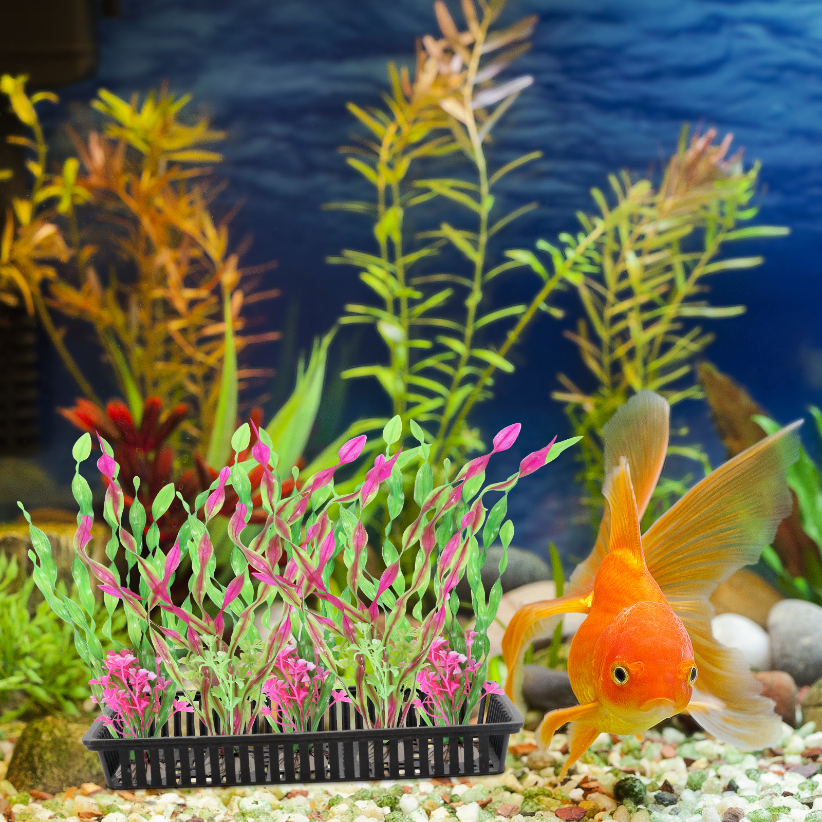 POPETPOP Aquarium Plant Holder – Plastic Shaping Sphere For Fish Tank Plants, Submerged Or Floating
