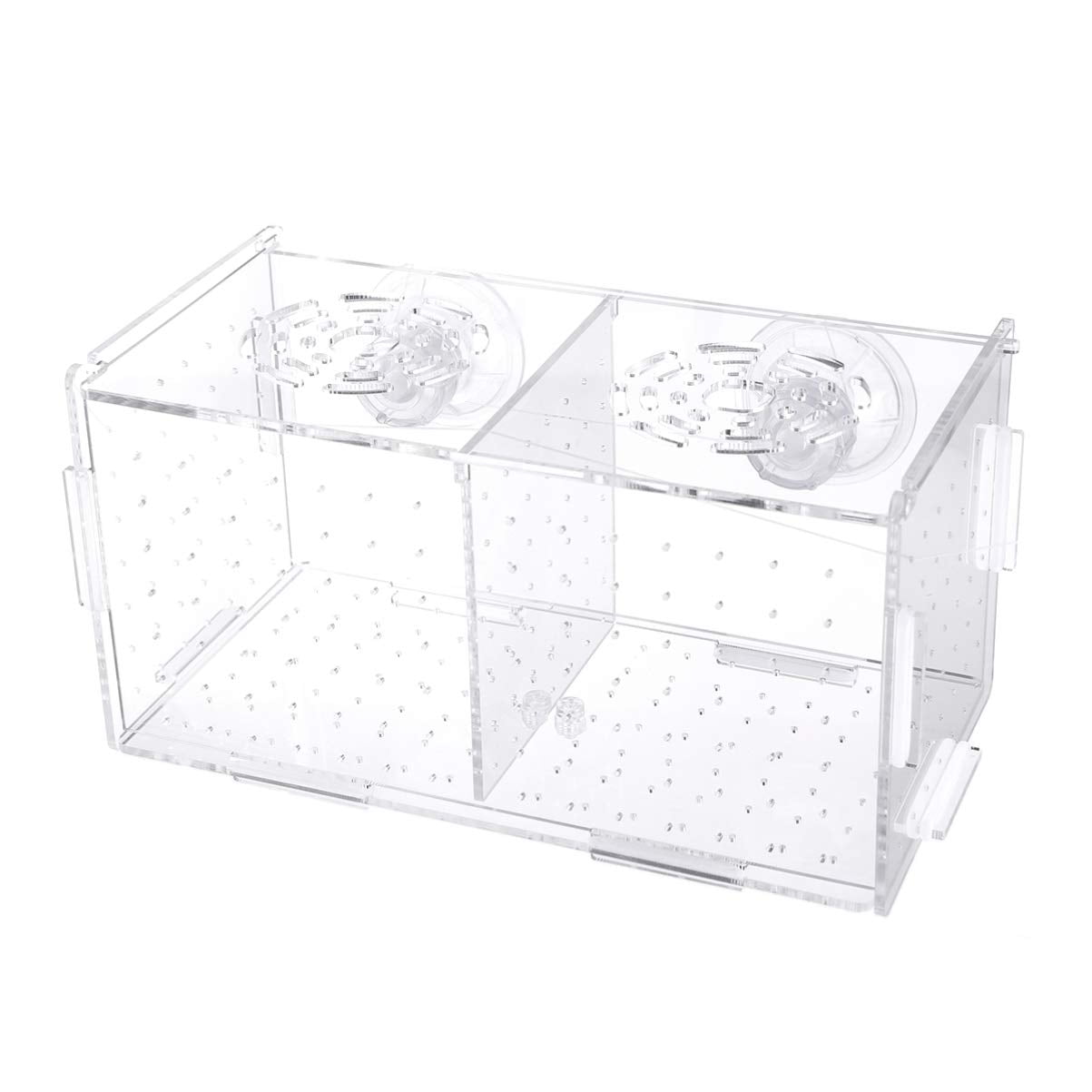 POPETPOP Fish Breeding Box2 Isolation Box Breeder Hatchery Incubator Aquarium Fish Breeding