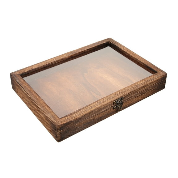 POPETPOP Insect Display Case Collection Box Butterfly Box with Clear Cover Hangable Insect Specimen Case Box