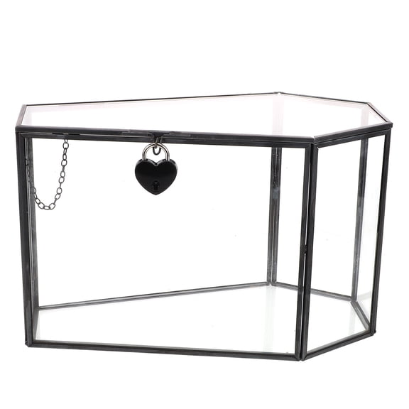 POPETPOP Transparent Coffin Shaped Glass Display Box Handmade Home Decor Collectible Display Case