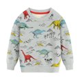 thumbnail image 1 of POPTEM Boys Sweatshirts Dinosaur Long Sleeves Top Cotton Crewneck Pullover Grey 6T, 1 of 6