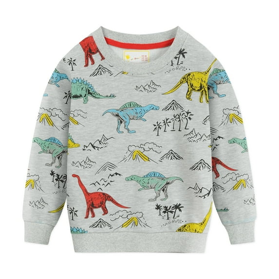 POPTEM Boys Sweatshirts Dinosaur Long Sleeves Top Cotton Crewneck Pullover Grey 6T