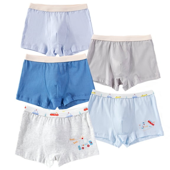 POPTEM Toddler Boys Boxer Briefs Dinosaur Graphics Cotton Underwear 5-Pack 5T