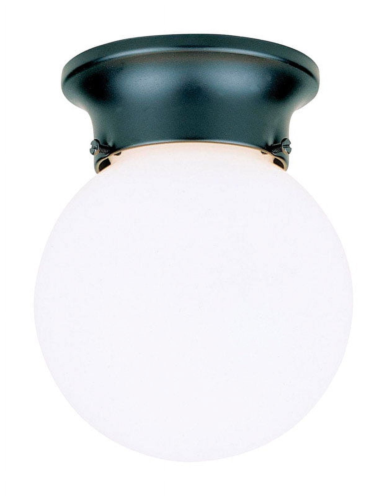 Sleek Black Gloss Globe Indoor/Outdoor Incandescent Light Fixture