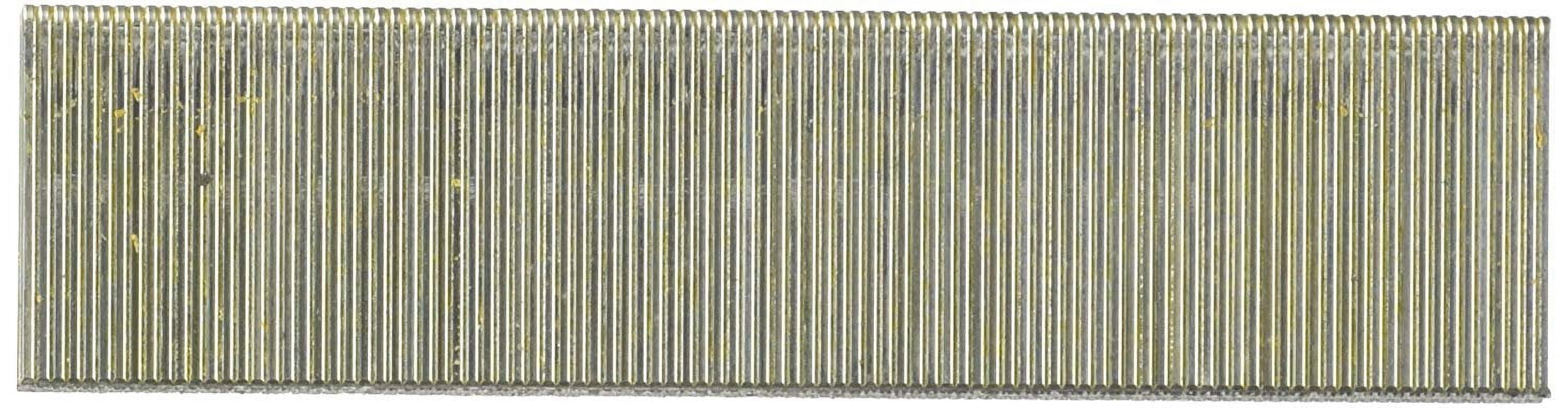 PORTER-CABLE PNS18125 18-Gauge 1/4-Inch Crown Galvanized Staples, 5000-Pack