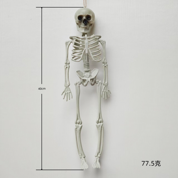 POSEABLE FULL LIFE HUMAN SKELETON HALLOWEEN HAUNTED HOUSE PARTY PROP-40CM B