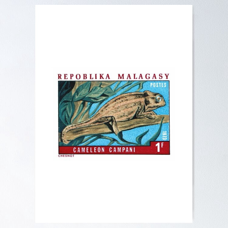 POSTER 1973 MADAGASCAR Chameleon Campani Stamp POSTER UNFRAMED, 8x12 ...