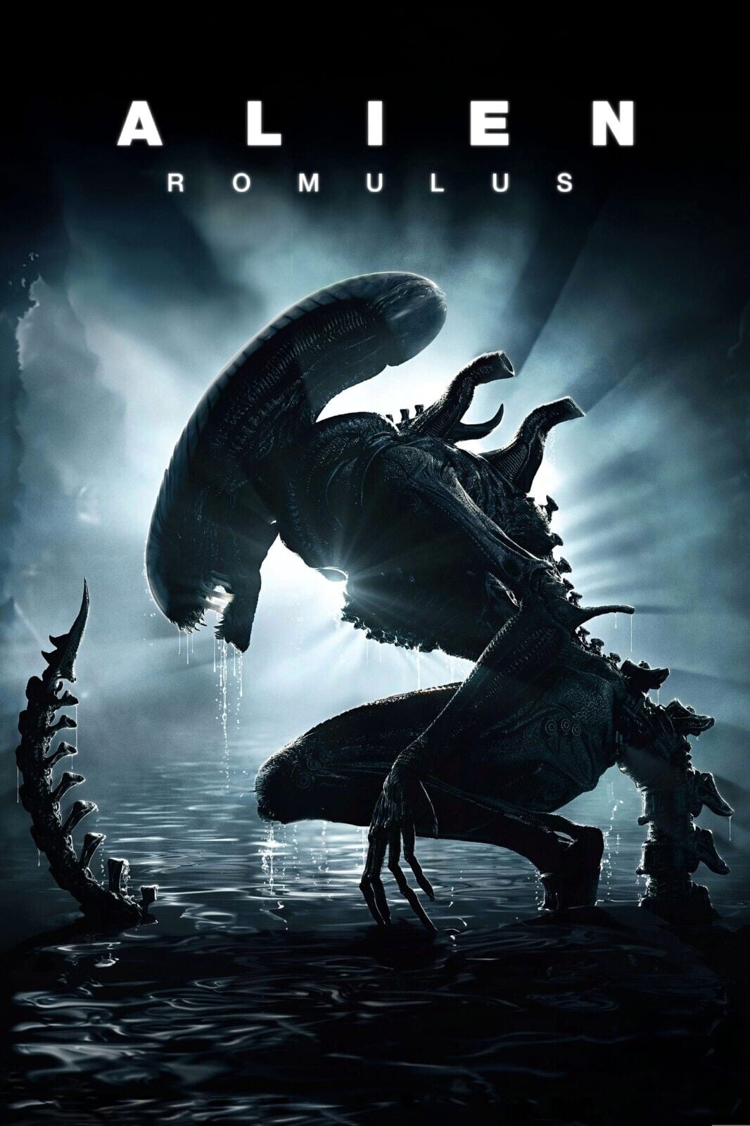 POSTER 2024 Alien Romulus Movie Poster Cailee Spaeny Isabela Merced 🍿