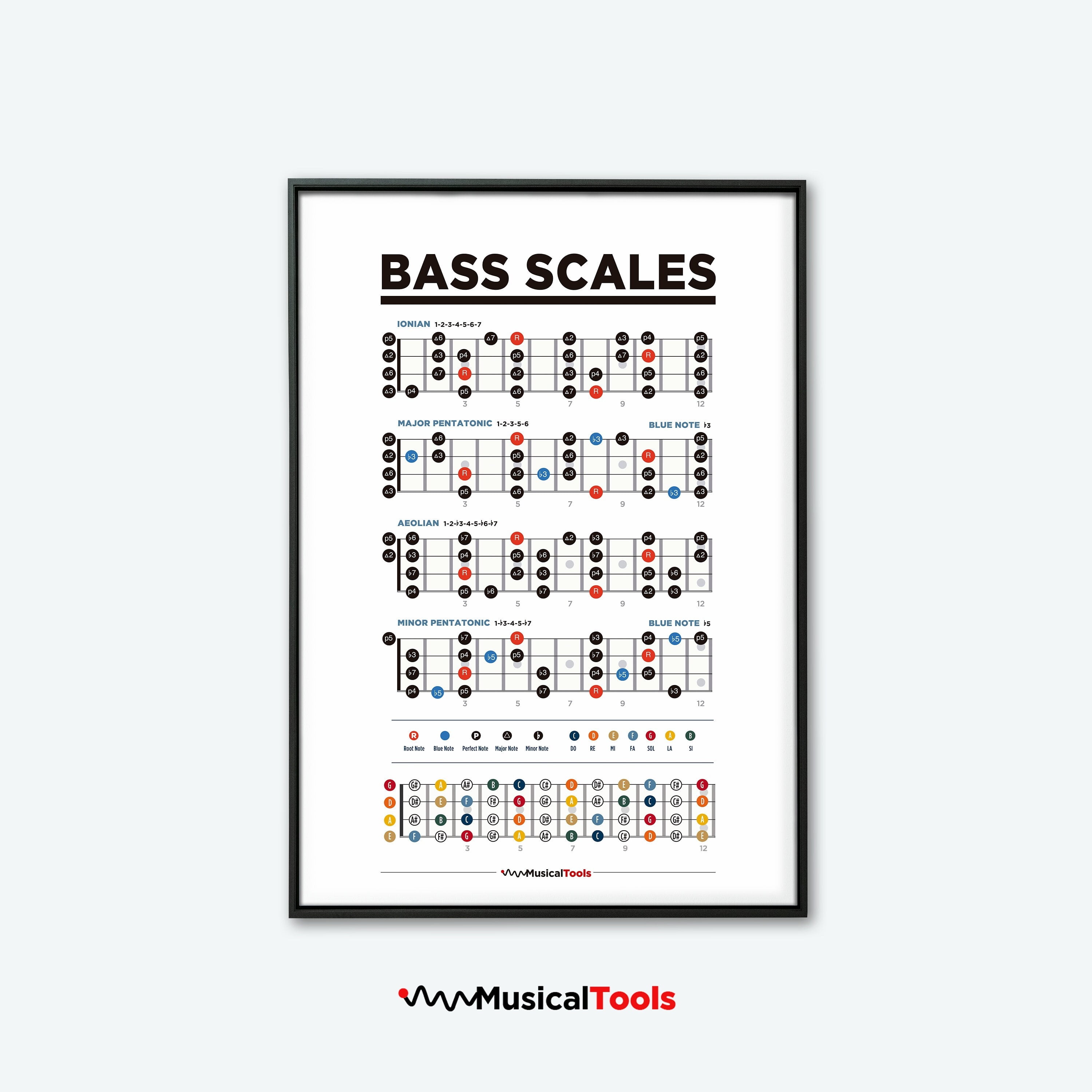 POSTER Bass Guitar Scales Chart Poster with Fretboard. and high ...