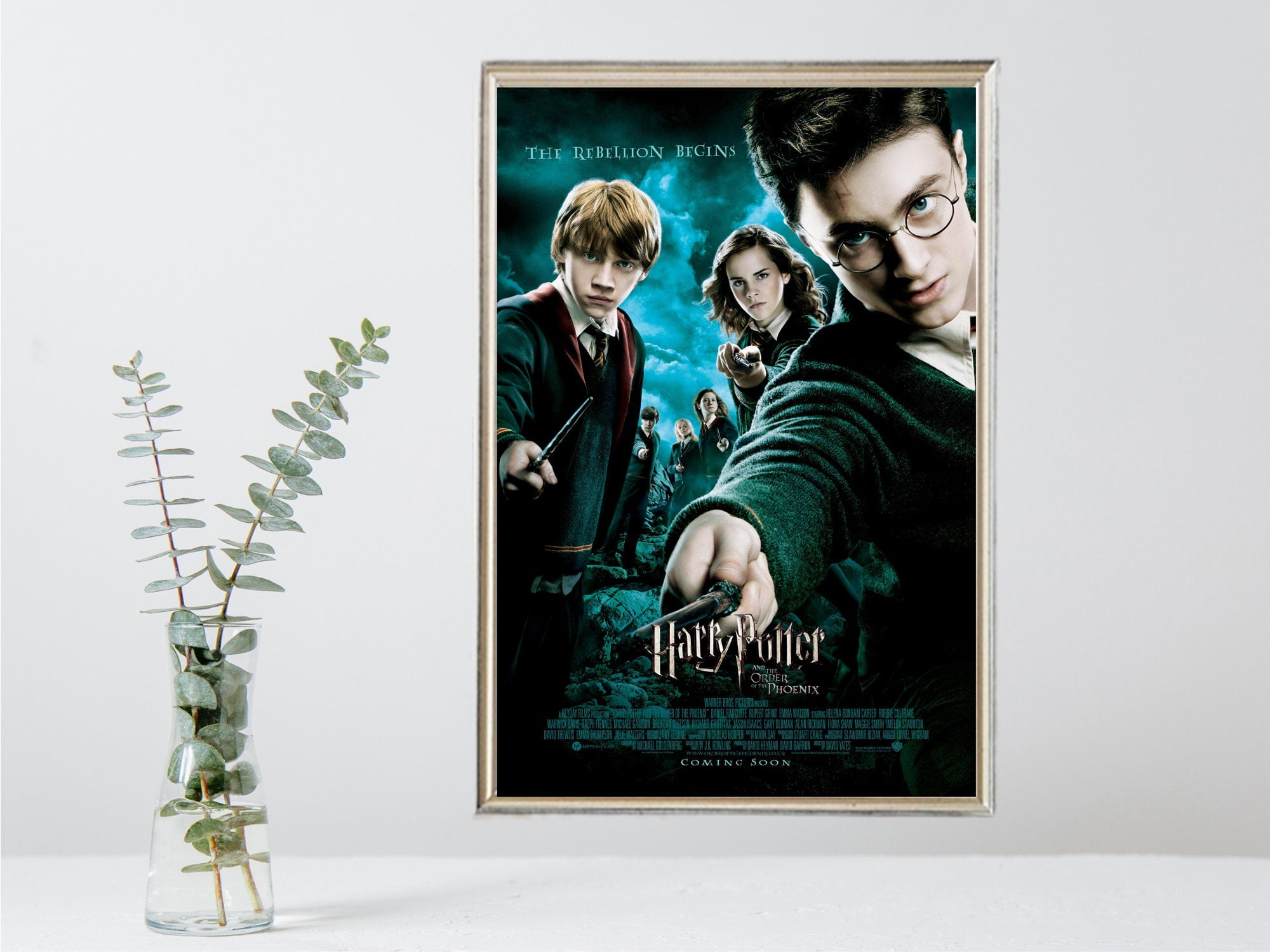 POSTER Harry Potter and the Order of the Phoenix Movie Poster Vintage Movie Poster Limited