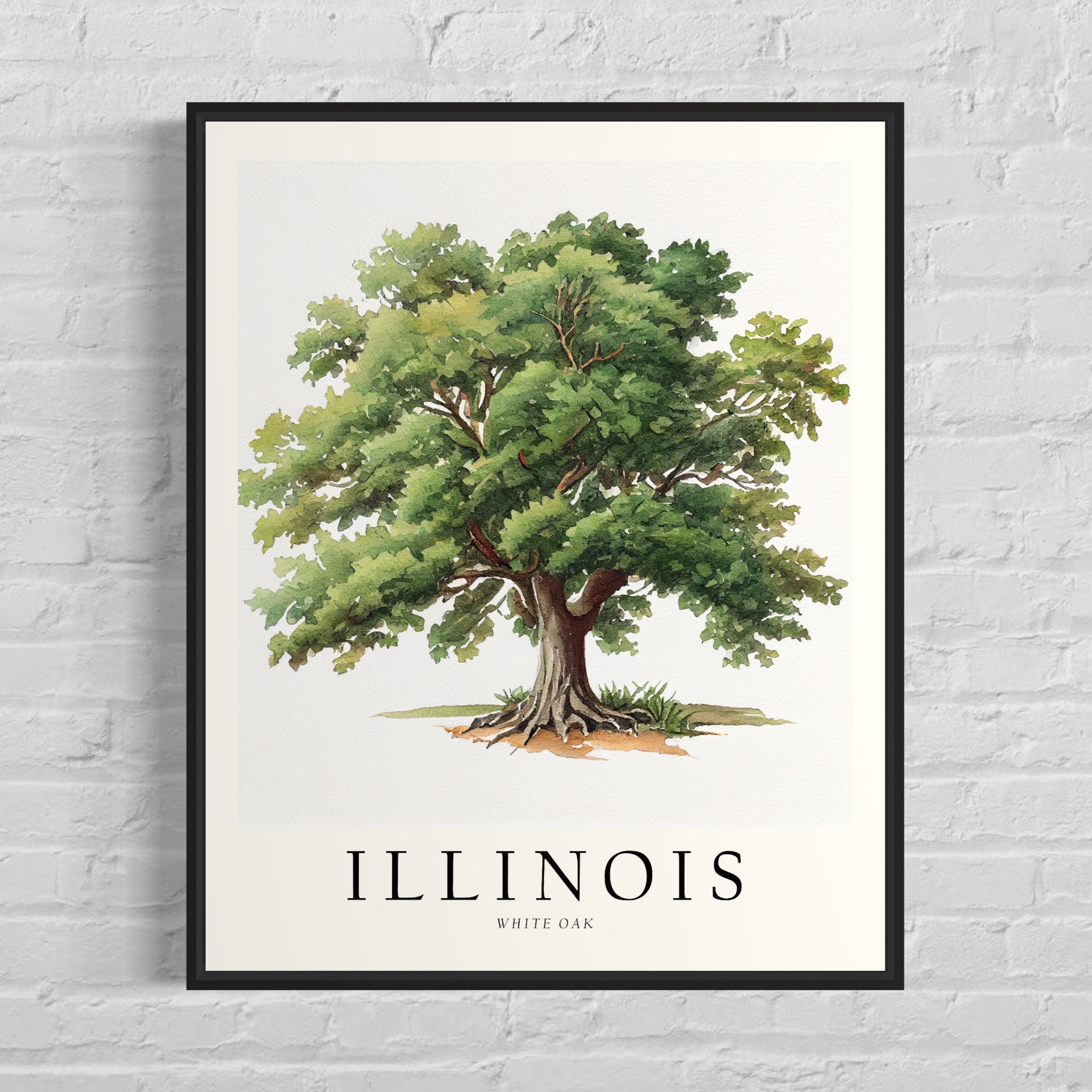 Poster Illinois State Tree Art Print, White Oak Tree Wall Art, State ...