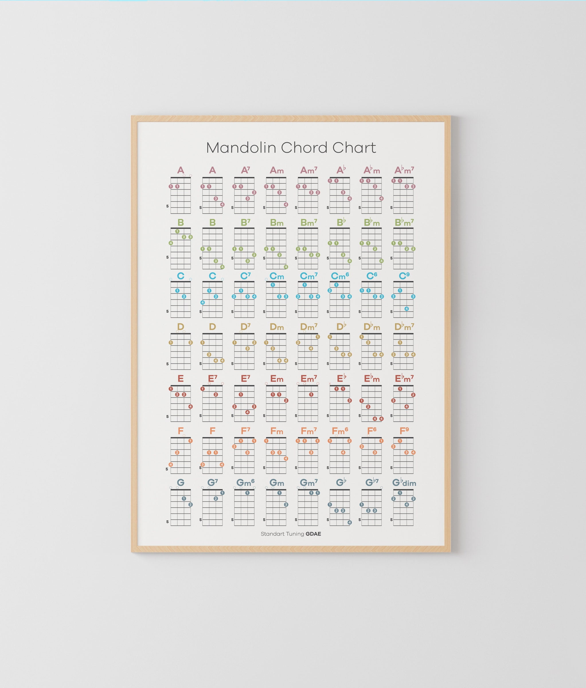 POSTER Mandolin Chords Poster, Mandolin Lesson, Music Education