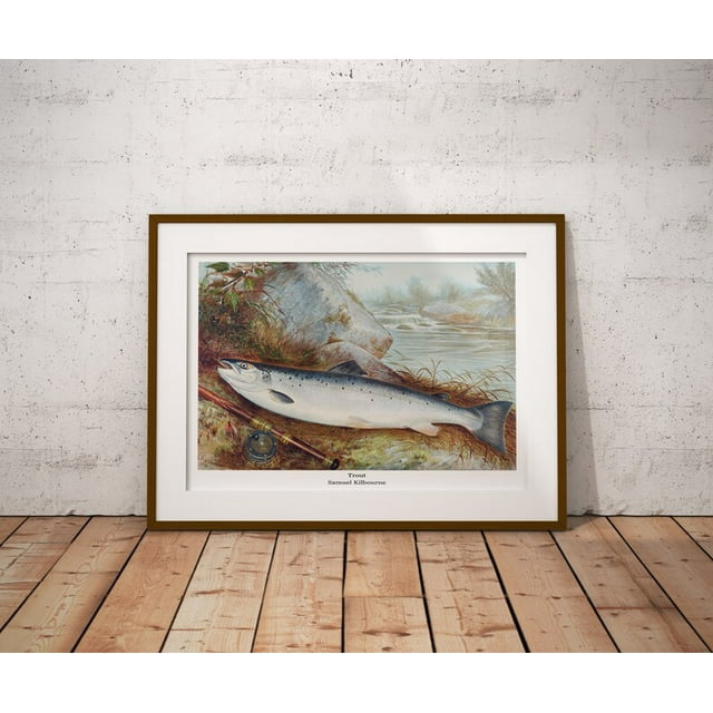 POSTER Trout by Samuel Kilbourne Reproduction Fishing Art Print