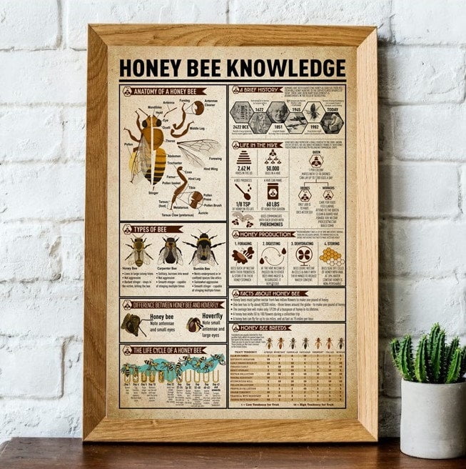 POSTER Version 1 Honey Bee Knowledge, How To Breed Honey