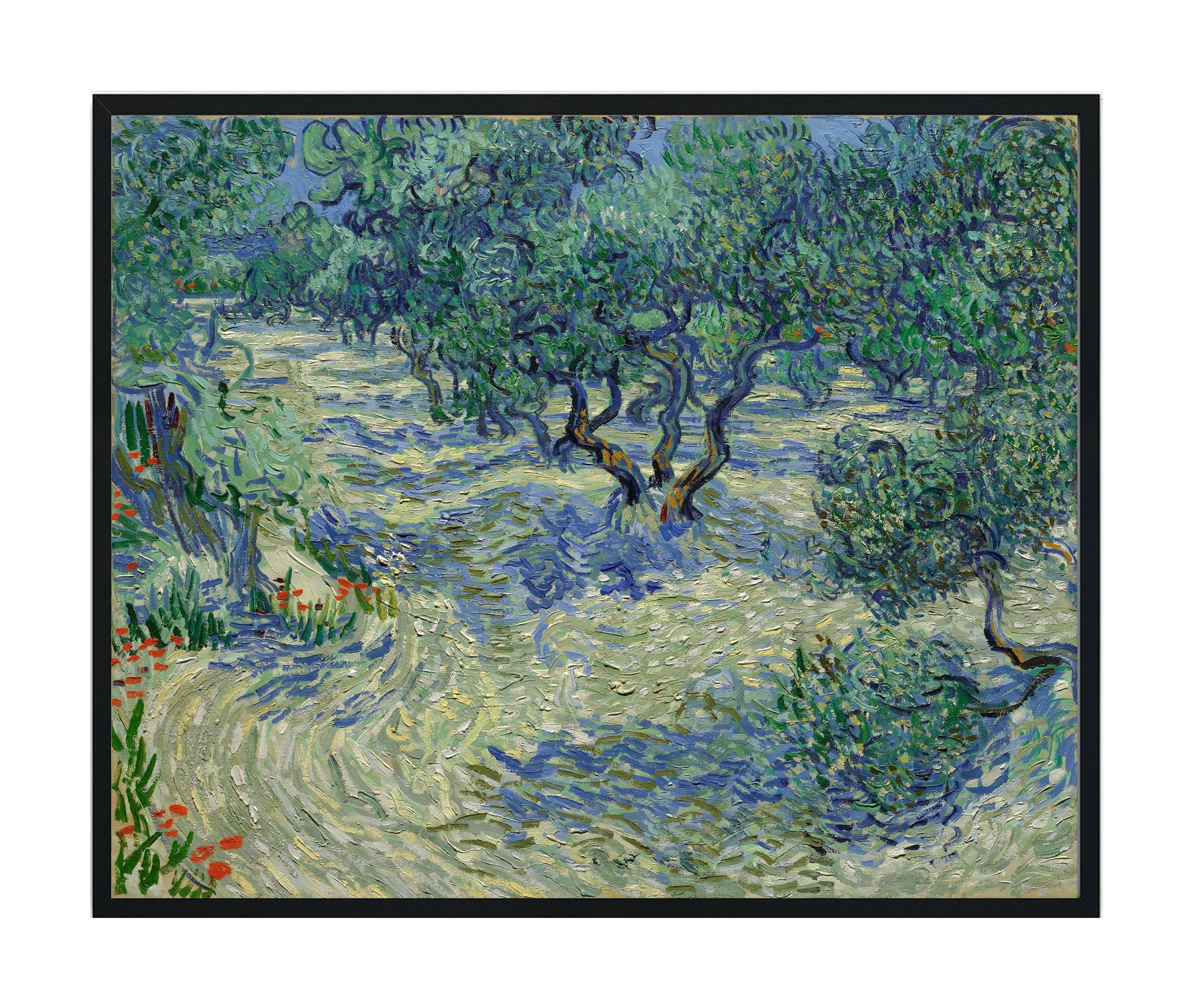 POSTER Vincent Van Gogh Poster Art Print - Olive Orchard 1890 - Vintage ...