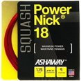 thumbnail image 1 of POWERNICK 18 Squash String Set, 1 of 1