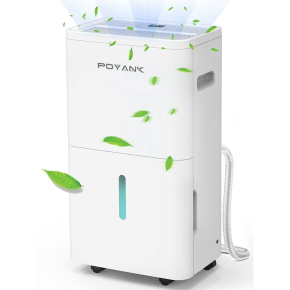 POYANK 4500 Sq. ft 75 Pint Dehumidifier for Basement, Dehumidifiers with Drain Hose for Home Bedroom Bathroom Large Room, Auto Defrost& Drain, 24H Timer, 1.59 Gallon Water Tank, Dry Clothes