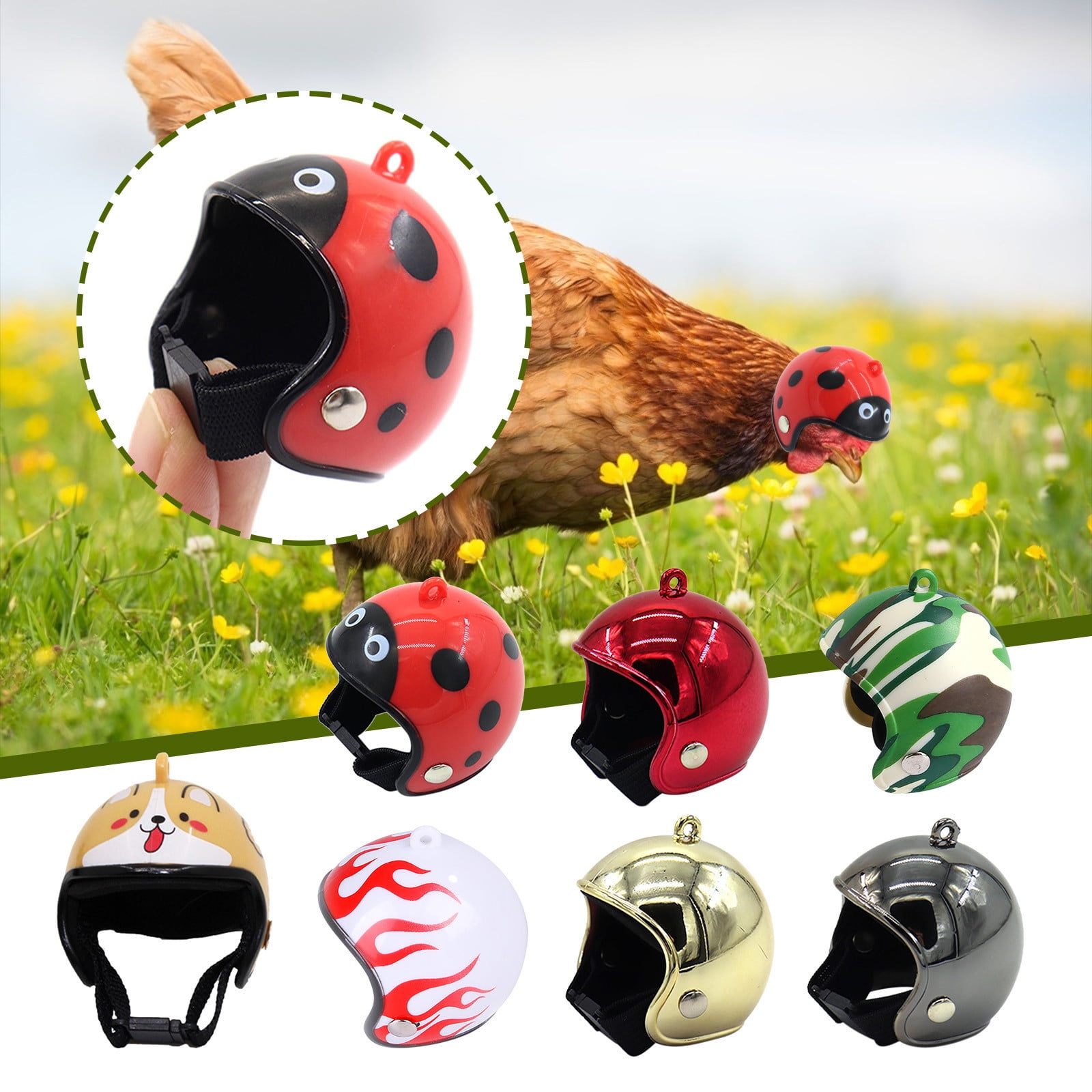 chicken with football helmet 10 Pcs Chick Helmets, Funny Cute Hen Helmets, High Elastic Straps & Buckles, Pet Chick Accessories, Chick Safety Hat, For Preventing Chicks/Birds From Pecking Each Other And Protecting Their Heads Safe Material An illustration of a prairie